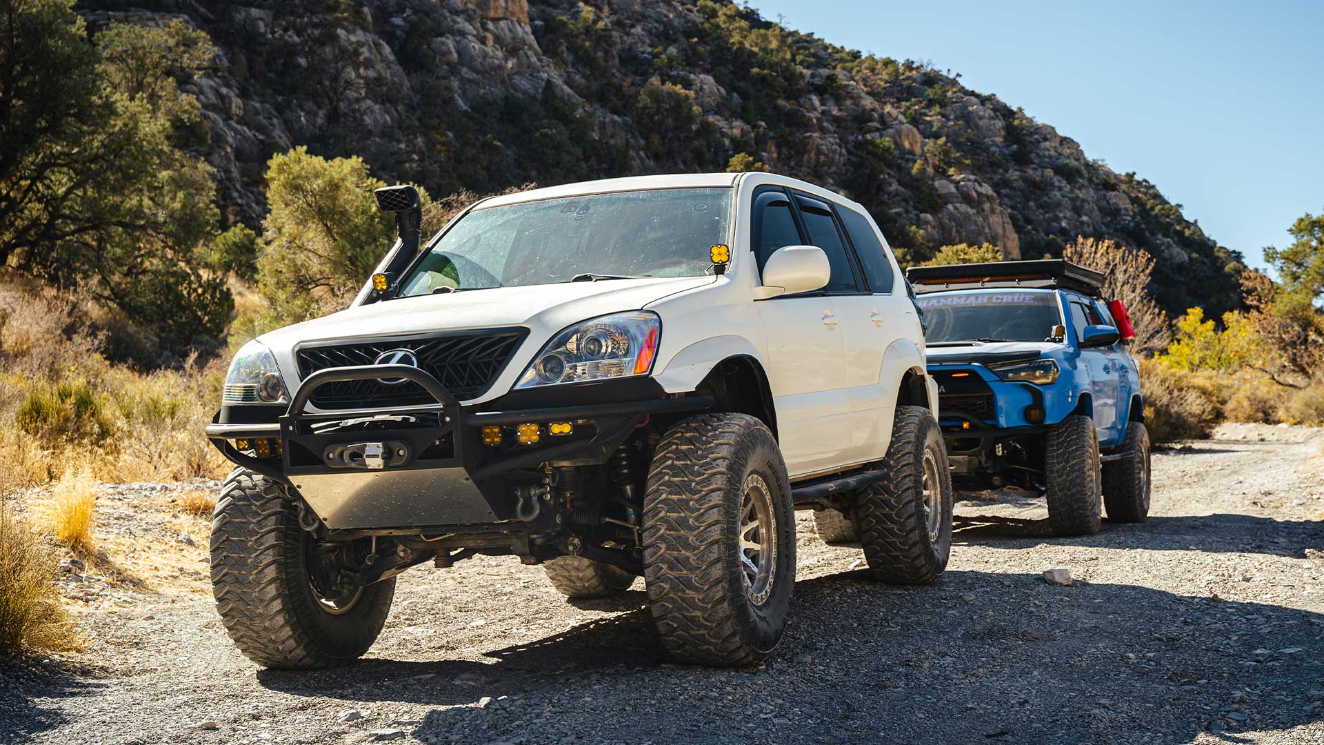 white lexus gx and blue toyota 4runner with rbp tires on off road trail