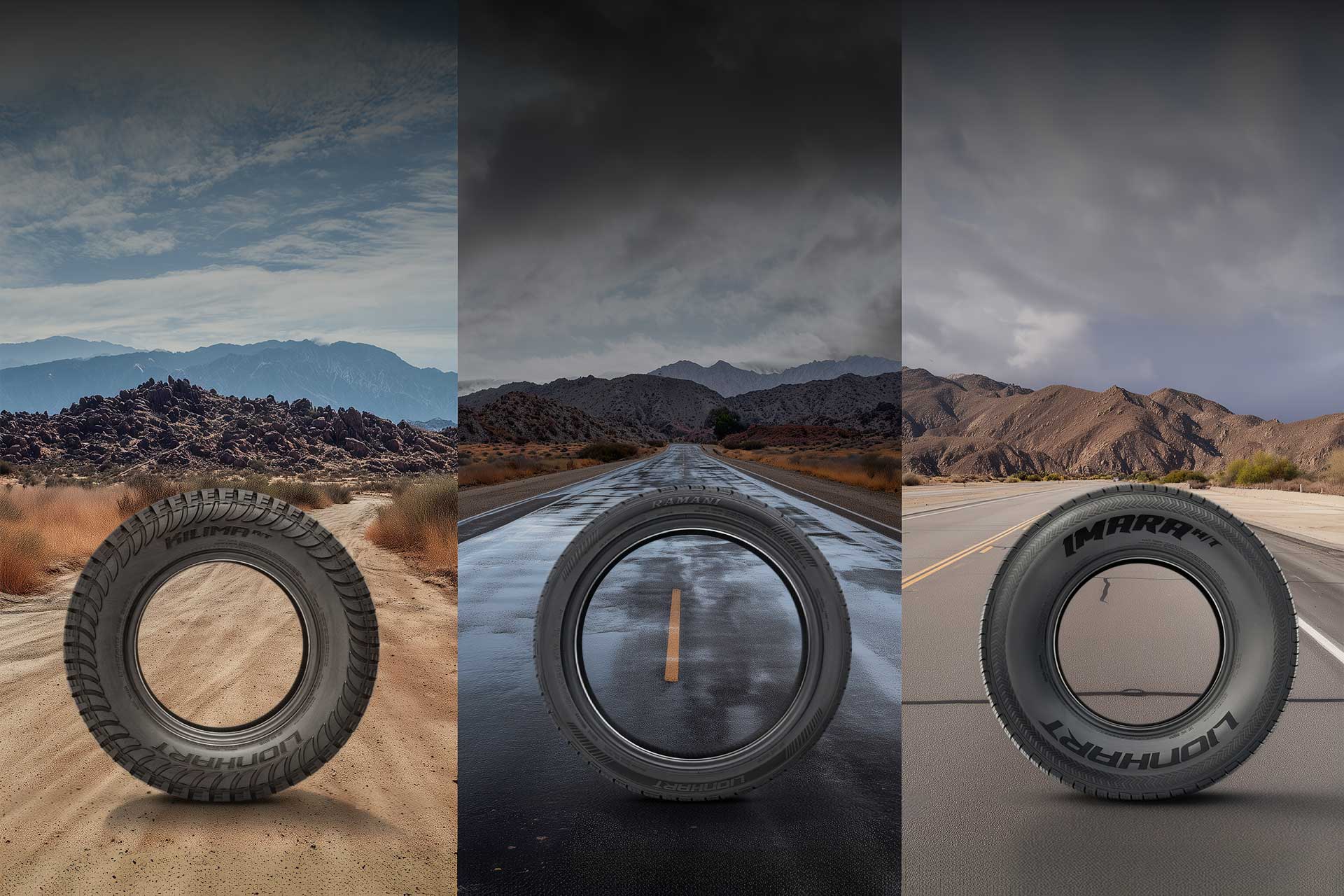three column graphic of lionhart new tires with season background images